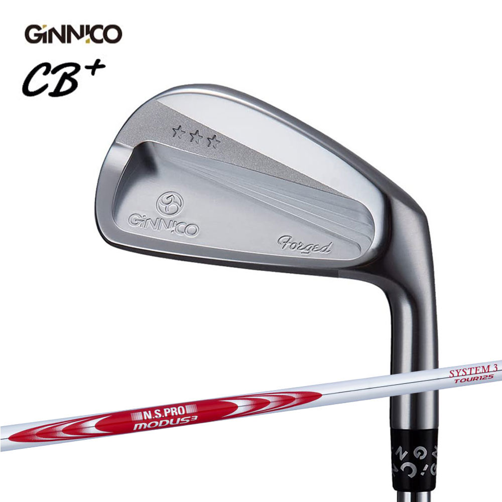 イオンスポーツ GINNICO CB+ アイアンセット #6-#PW 5本 N.S.PRO MODUS3 TOUR 125 装着モデル 右利き メーカー組み立て