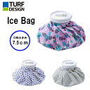 ターフデザイン アイスバッグ TURE DESIGN Ice Bag 朝日ゴルフ TDIB-1970L その1