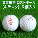 yANz[NXSt  bhx  2015N zCg 6 ƎґI Xg{[ WORKS GOLF HISHO