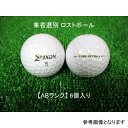 sABNt_bv XN\ gCX^[ v~AzCg 2017N 6 ƎґI Xg{[ DUNLOP SRIXON TRI-STAR