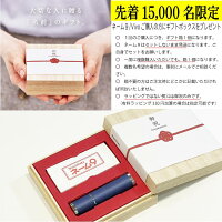 最大300円OFFクーポン発行中★印鑑はんこシャチハタネーム9Vivoネーム印シヤチハタネーム9vivoヴィーボネーム印・浸透印先着15000名ギフト箱プレゼント【送料無料】
