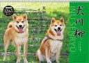 【割引クーポン発行中】 2026年【 月めくり/犬川柳 】カレンダー 犬川柳 月めくり 26CL/017
