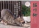 【割引クーポン発行中】 2026年【 月めくり/猫川柳 】猫川柳カレンダー 壁掛け 26CL/018 9月より発送開始