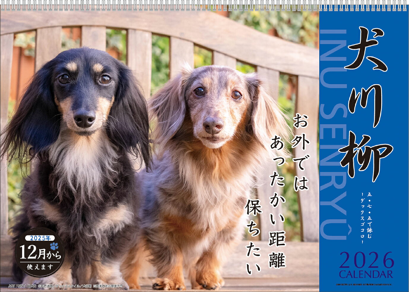 【楽天ランキング入賞】 2026年【 月めくり / ダックス犬川柳 】 壁掛けカレンダー ダックス犬川柳 スケジュール いぬ 動物写真 書き込み インテリア　26CL/019