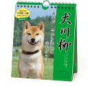 【割引クーポン発行中】 2026年 カレンダー 犬川柳 週めくり 26CL/021 犬川柳(週めくり) 9月より発送開始