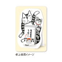【割引クーポン発行中】 【9月より発送開始】新日本カレンダー 2026年 笑福萬福 ねこ福めくり(3号) NK8810 (2026年 1月始まり)