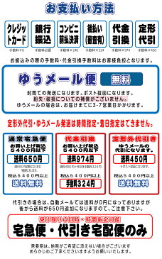 シャチハタ エルツイン 既製品 既製品に名前がある方のみ ネーム6のキャップ付シャチハタ ツインネーム ツイン ネーム 認め 訂正印 ネーム印　送料無料