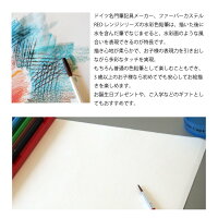 到着後レビュー記載で送料無料★ファーバーカステル水彩色鉛筆36色セットドイツ製/TFC-WCP/36C