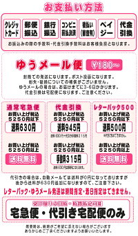 シャチハタ/ネーム印★ディズニー着せ替え専用パーツ/シャチハタネーム9/DISNEYクリップホルダーキャップセット【印鑑/はんこ/シヤチハタ/かわいい】【Disneyzone】【HLS_DU】【RCP】