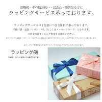 多機能ペンジェットストリーム4&1MSXE5-10000.5mm名入れは出来ません