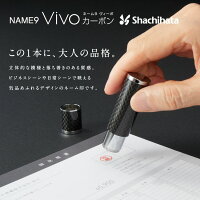 【限定品】高級シャチハタネーム印Vivoゴールド金色