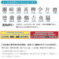シャチハタはんこキャップレスキャップレス9シヤチハタ3色当店限定色追加ネーム印・浸透印【送料無料】しゃちはた