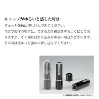 シャチハタはんこネーム9オーダー品シヤチハタ24色から選べます売れ筋商品別注品ネーム印・浸透印印鑑【送料無料】9.5ミリしゃちはた