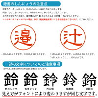 シャチハタネーム印ネーム9オーダーシヤチハタネーム9別注品ホワイトスタイル新色追加【送料無料】9.5ミリ