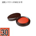 速乾シヤチハタ朱肉 30号