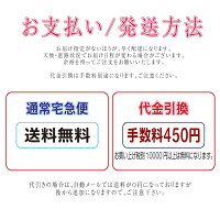 印鑑実印銀行印はんこ認印印鑑ケース付きオーダー吉相印鑑セット黒水牛【送料無料】1815