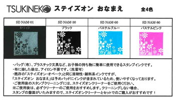 ステイズオンおなまえ単品