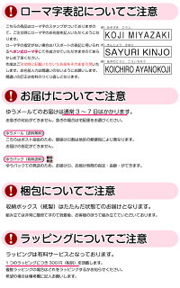 ○リニューアルお名前スタンプ15点セットおなまえはんこ【今だけ1個プラスの15点!】送料無料漢字・ひらがな・ローマ字セット