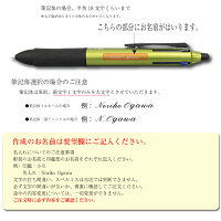 名入れ商品★フリクションウッド4消せるボールペン