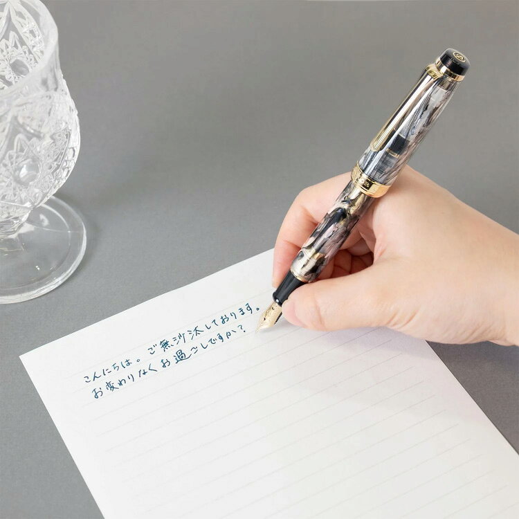 Photo de Veirio Fountain Pen Pearl Black