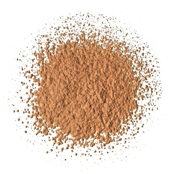 TFS パステルクッションブラッシャー03プールサイドオレンジ(韓国コスメ)／ザ・フェイスショップ（THE FACE SHOP）