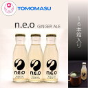 n.e.oプレミアム ジンジャーエール16本入りギフト 友桝飲料