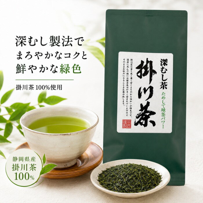 静岡県産 深蒸し茶 掛川茶（緑）100g お茶 緑茶 日本茶 茶葉 深むし茶 香り高い 甘い まろやか 濃厚 産地賞受賞 深蒸し製法 渋くない ポイント消化 1000円ポッキリ 3袋セット 5袋セット 選べるまとめ買い 荻野商店