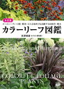 楽天おぎはら植物園【書籍】決定版　カラーリーフ図鑑　荻原範雄 著