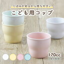 【送料無料】キッチン用品・食器・調理器具・陶器　アンティークヴュルツブルク磁器プレートポルツェルランテラーヴュルツブルクドイツドイツAntique 18thC Wurzburg Porcelain Plate Porzellan Teller W?rzburg German Germany