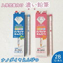 【P10倍】学童に最適「かきかた」ナノダイヤ鉛筆 濃く、なめらか《六角軸 2B 12本》2種類 名前欄付き 学習 小学生 入学準備 低学年 高学年 入学祝い プ...
