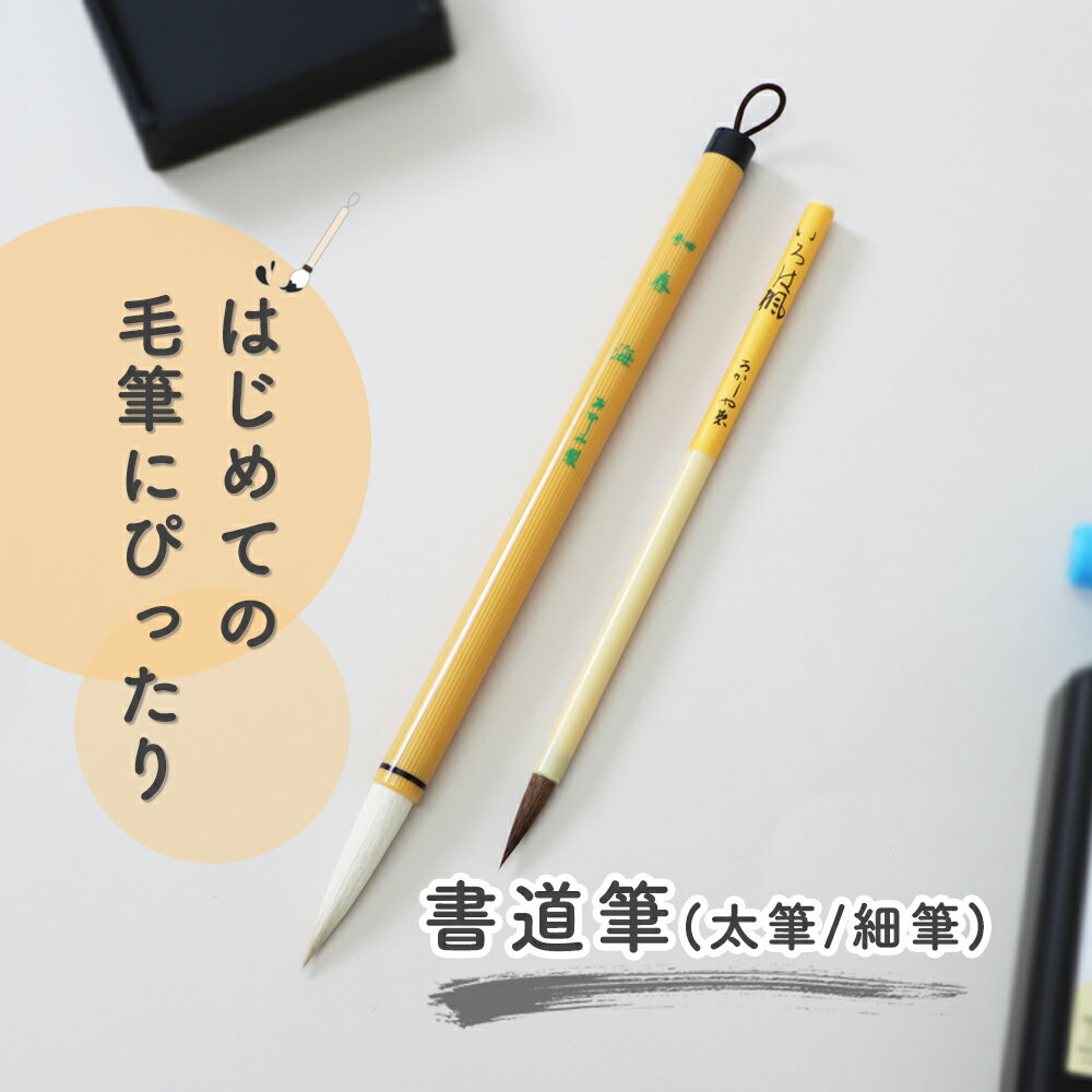 【P10倍】はじめての毛筆にぴったり《書道筆 2本組》筆 書道 習字 習字道具 書写 毛筆 はじめて 学校 小学校 小学生 小学3年生 中学生 使いやすい 書き...