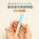 【エントリーで最大P10倍】はじめての万年筆《カクノ》デビュー 初めて 初心者 安全 安心 書きやすい 使いやすい ペン字 手紙 手帳 学童文具 文房具 男の子 女の子 女子文具 カートリッジ プレゼント 進学 進級 準備 受験 小学生 中学生 高校生 大人 幼児