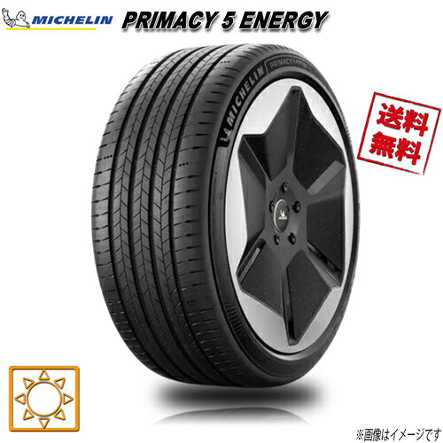 255/45R20 105W XL 4本セット ミシュラン PRIMACY 5 energy 夏タイヤ 255/45-20 0