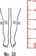 人体図スタンプ ゴム印　医療用　カルテ　【足　前】36