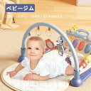 ピアノジム ベビージム ベビーカー用おもちゃ付き 赤ちゃん ベビー おもちゃ プレイジム 知育玩具 ベビージムセット 室内 0カ月 おしゃれ ギフト 出産祝い ...