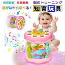 モンテッソーリ おもちゃ ドラム ハイハイ おもちゃ 赤ちゃん 楽器 知育おもちゃ 早期開発 指先訓練 音の出るおもちゃ 音楽おもちゃ 8色ライト 6つ海洋生物...