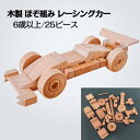 積み木 レーシングカー 知育玩具 ブロック 型はめ 木のおもちゃ ほぞ組み 車 男の子 女の子 6歳以上 誕生日ギフト 誕生祝い 出産祝いに♪親子 木育 家族
