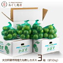 .【送料無料】大分杵築市特産 たね無しカボス 中玉サイズ 3箱(約4kg×3箱)/かぼす/種なし/大分県産