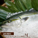 【送料無料】大分県 新ブランド！大分県臼杵市養殖 かぼすブリ（かぼすぶり）（1尾 約4.0kg〜4.5kg）【冷蔵でお届け】【お年賀】【楽ギフ_包装選択】【楽ギフ_のし】【楽ギフ_のし宛書】【代引き不可】