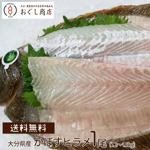 【送料無料】日本一のヒラメ養殖の大分県から「かぼすヒラメ」1尾丸ごと（ 1.2〜1.5kg）（冷蔵配送）/ギフト 海産物　海産　お歳暮　御歳暮【代引き不可】【楽天限定セット】