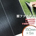 【固定用面ファスナー】 150mm巾×5m 人工芝 連結部 連結 接続 中央部 面ファスナー マジックテープ 施工 固定 杭 芝生 ガーデニング 園芸 DIY ...