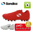 23ss ソンディコ SONDICO 24P062A ORIGIN チョウSW HGAG サッカー メンズ シューズ スパイク 紐タイプ ワイズ8E 靴 フット...