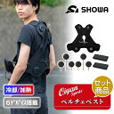 【セット商品】25ss ショウワショウカイ 昭和商会 N25-19 THERMAFIX PLT6 アクティブハーネス バッテリーセット F ペルチェ 冷却 夏服...