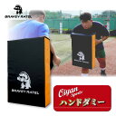 24y ブレイビーラーテル BRAVEY RATEL OS14001 ハンドダミー ラグビー タックルバック ヒットバック ディフェンスシールド ヒットシールド...