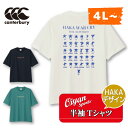 25ss カンタベリー CANTERBURY RA325122B ショートスリーブティーシャツ Tシャツ 半袖 半そで シャツ ハカ コットン 綿 100% ト...