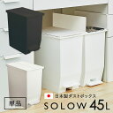 ダストボックス ゴミ箱 SOLOW ソロウ ごみ箱 単品 ペダルオープンツイン 45L 抗菌 防汚 加工 分別ゴミ箱 キッチン シンプル ホワイト ブラック 白...