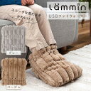 USB フットウォーマー かわいい シートクッション クッション 足元あったか 冬 冷え対策 デスクワーク 在宅勤務 オフィス リビング 省エネ 低消費電力 静...