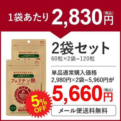 【2個セット 5％OFF】 フェリチン 鉄分 サプリ フェリチン鉄 エクセレント 60粒 × 2袋 栄養機能食品 鉄 1粒 5mg配合 60〜120日分 ヘム鉄 サプリメント が苦手な方におすすめ 亜鉛 ビタミンB12 銅 葉酸 鉄不足 補給 フラフラ【メール便】 ohada-marche-10022387 お肌マルシェ サンプル画像2