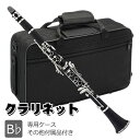 クラリネット 10リード付 練習 お手入れセット ケース付き 艶消し本体 17キー B♭ ソプラノ ABS樹脂製 リード 初心者入門 吹奏楽 小学生 高校生 大...