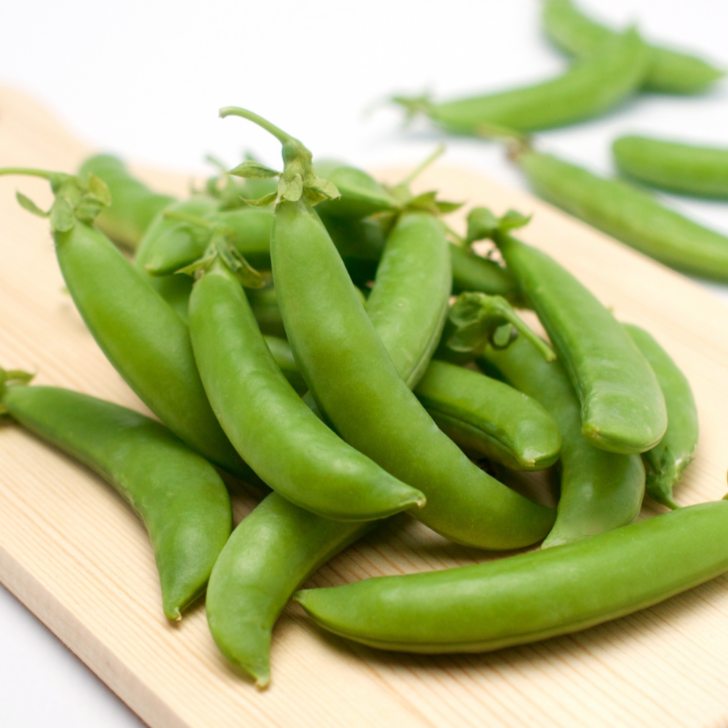 絹さやエンドウ 苗 5種セット 3号 野菜苗 耐寒性 ハーブ 家庭菜園 231116のサムネイル